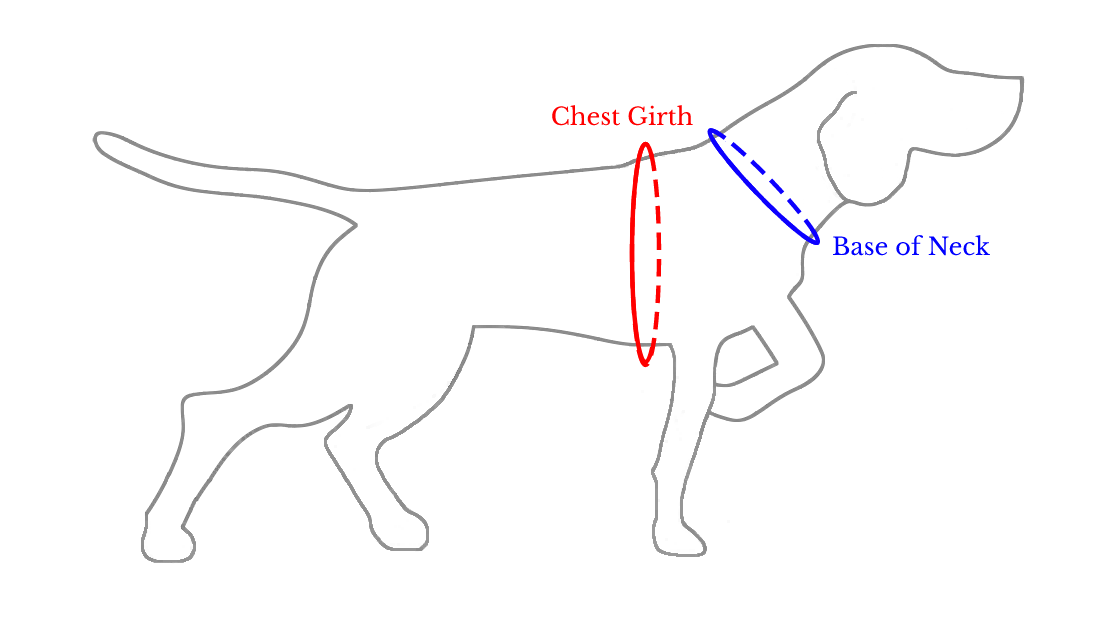 The Greyhound Harness sizing diagram