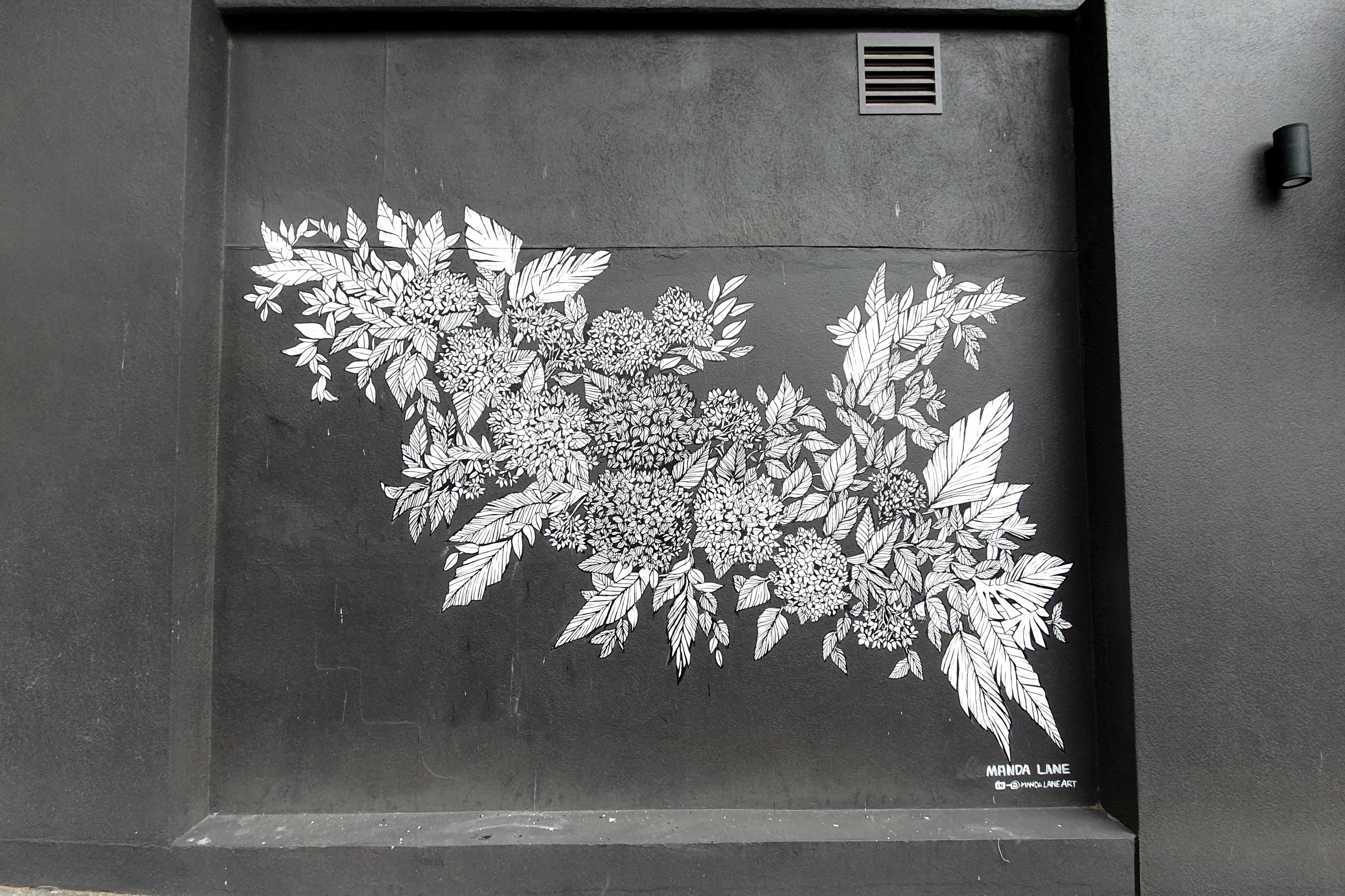 Hydrangea, botanical mural, mural, Melbourne street art, botanical art, zagames house, lygon street, carlton
