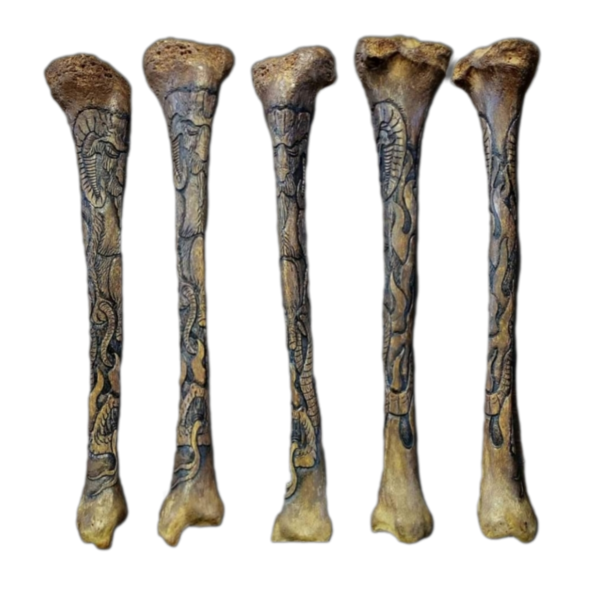 Human Bone Carving ~  Baphomet