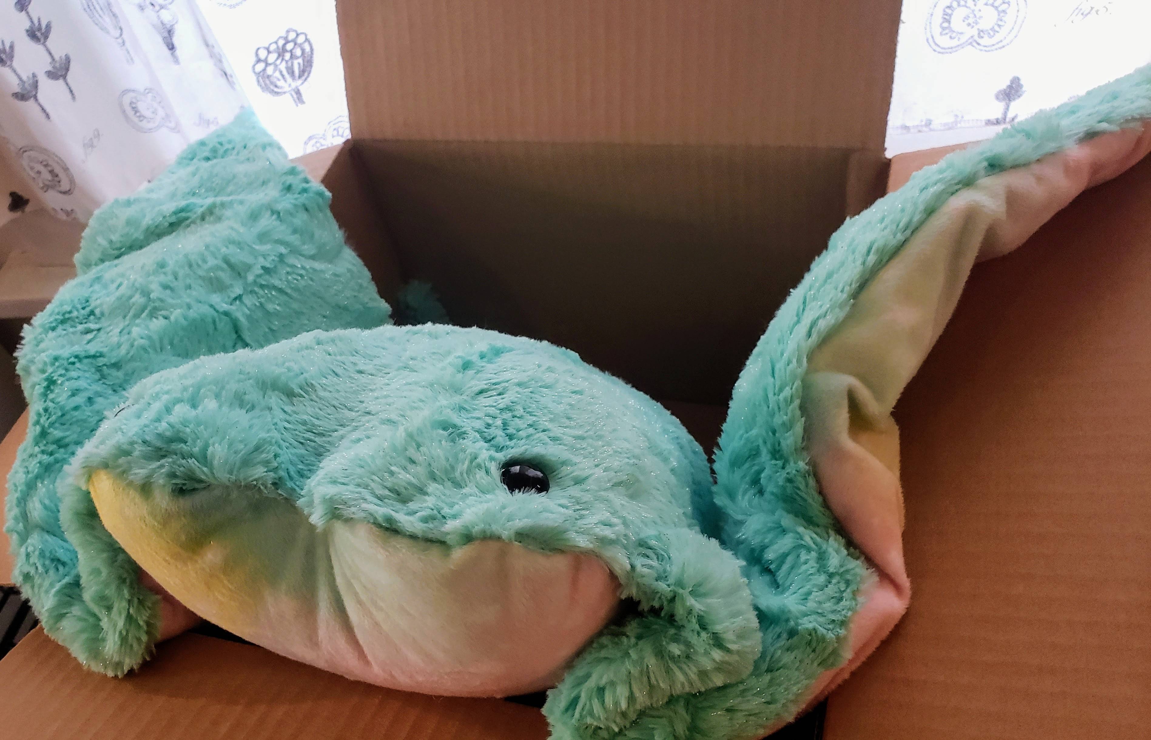 Image of a stuffed manta-ray plush in a box. He looks cheerful and ready to be shipped to his new home