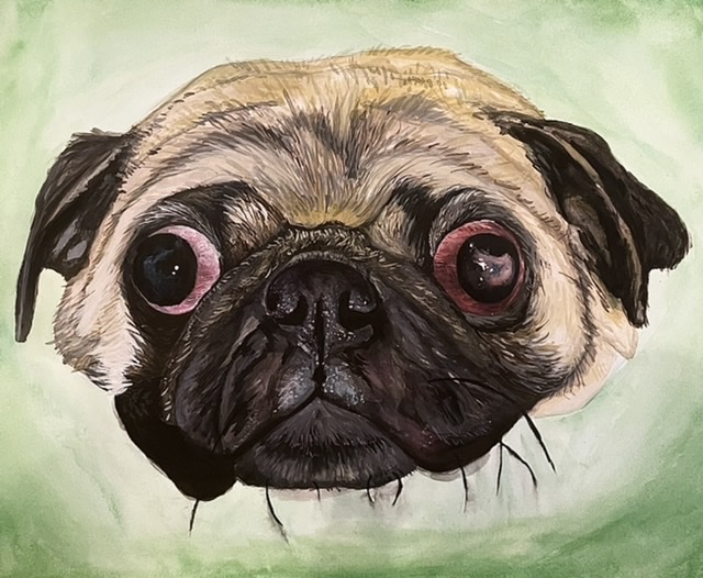 Pug