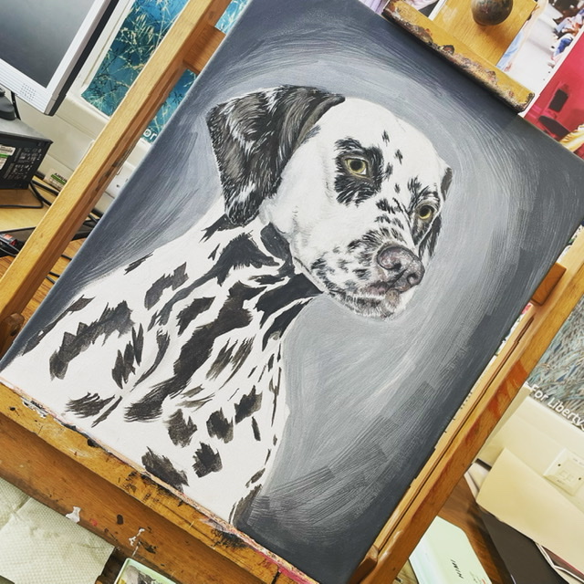 Dalmatian 