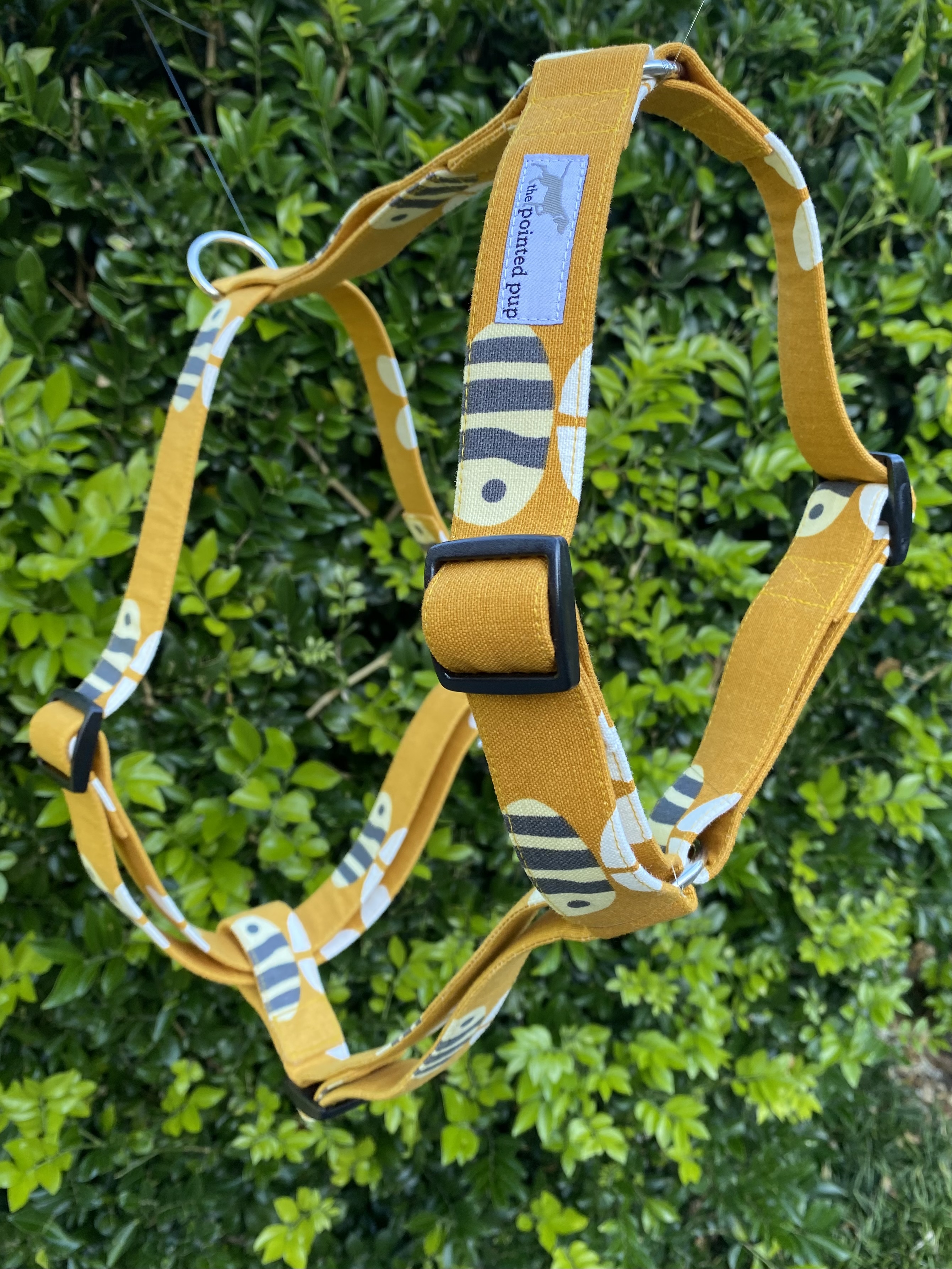 Staffy harness