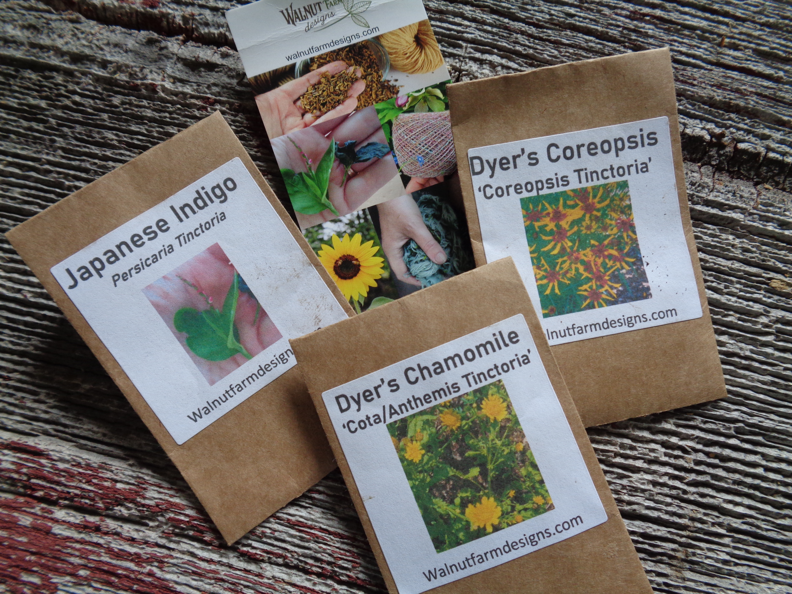 natural dye plant seedlings