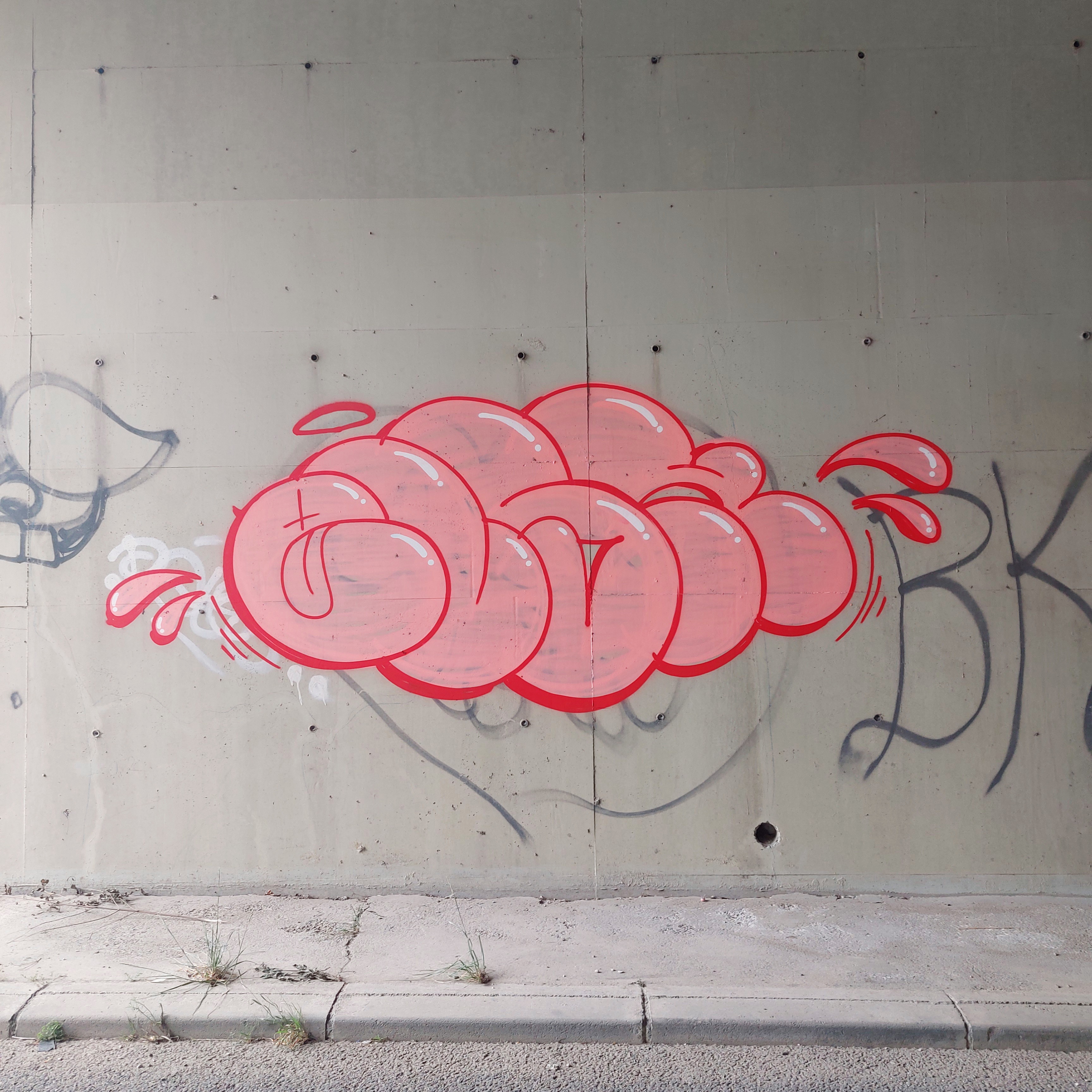 Bush x Bushup - Street Art - Graffiti - Painter