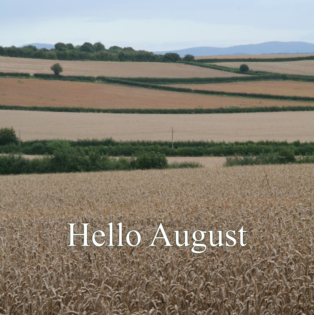 View across the fields near Marden, Herefordshire