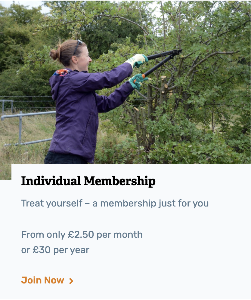 Individual Membership of Sheffield & Rotherham Wildlife Trust