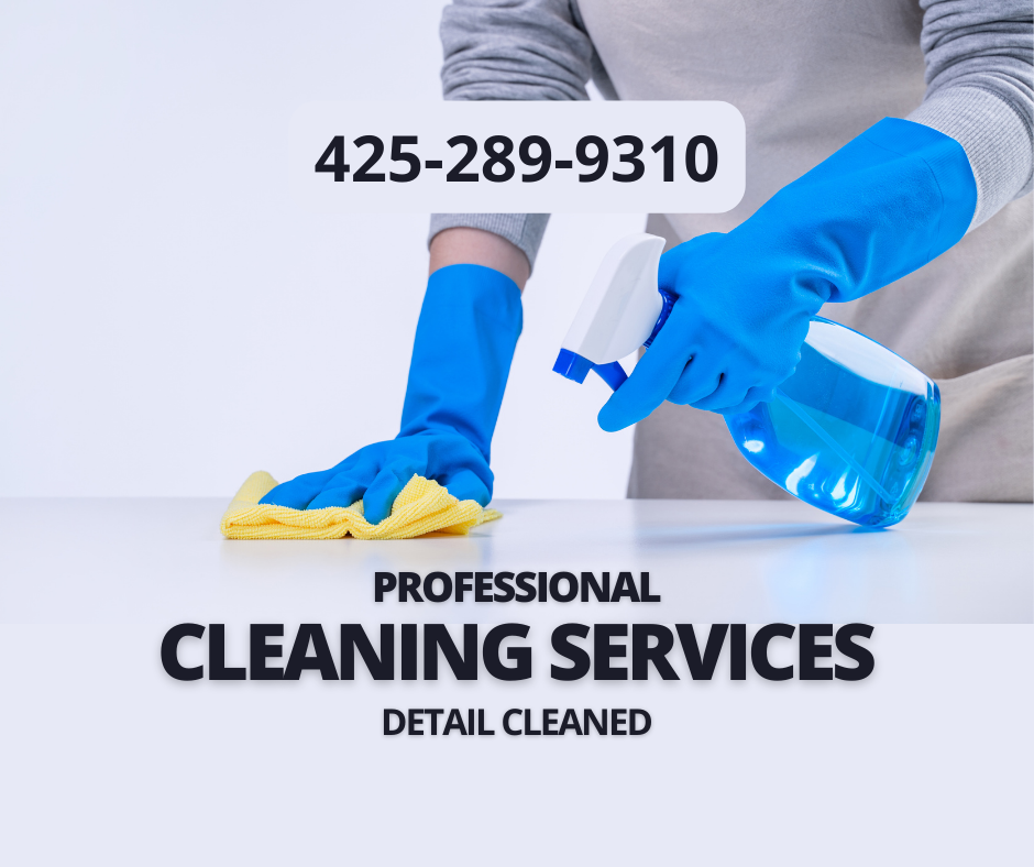 Professional Cleaning Services