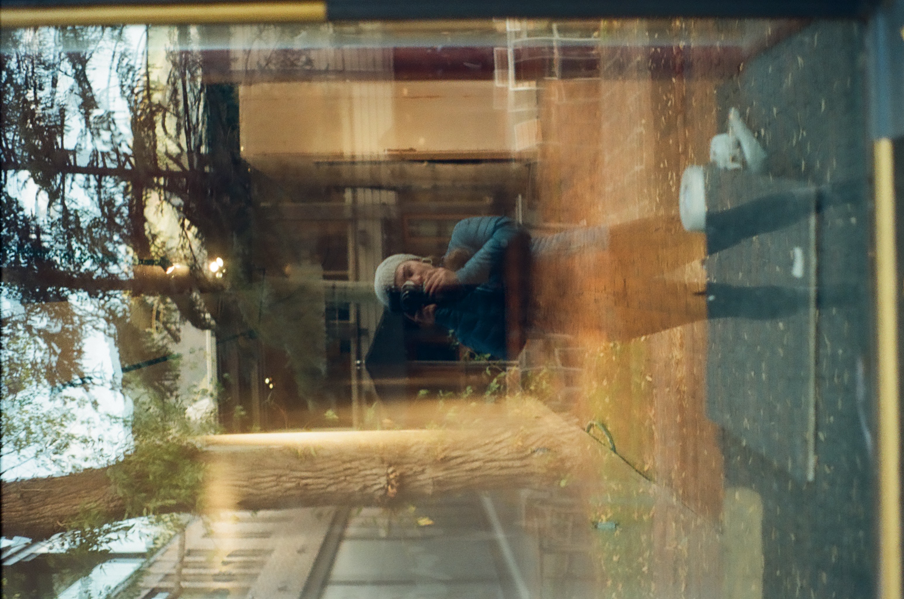 portrait of the artist reflected in a window