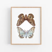 Image 2 of Mirror Moths PRINT