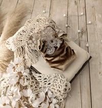 Image 1 of Newborn girl bodysuit for photoshoots | Audrey | brown