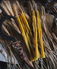 Wheat Candle