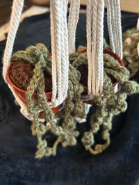 Image 1 of String of Pearls