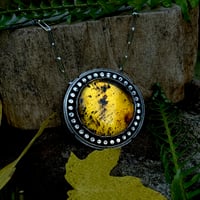 Image 3 of Large Amber Statement Piece~Choose Your Own Adventure