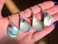 Image 2 of Abalone Shells