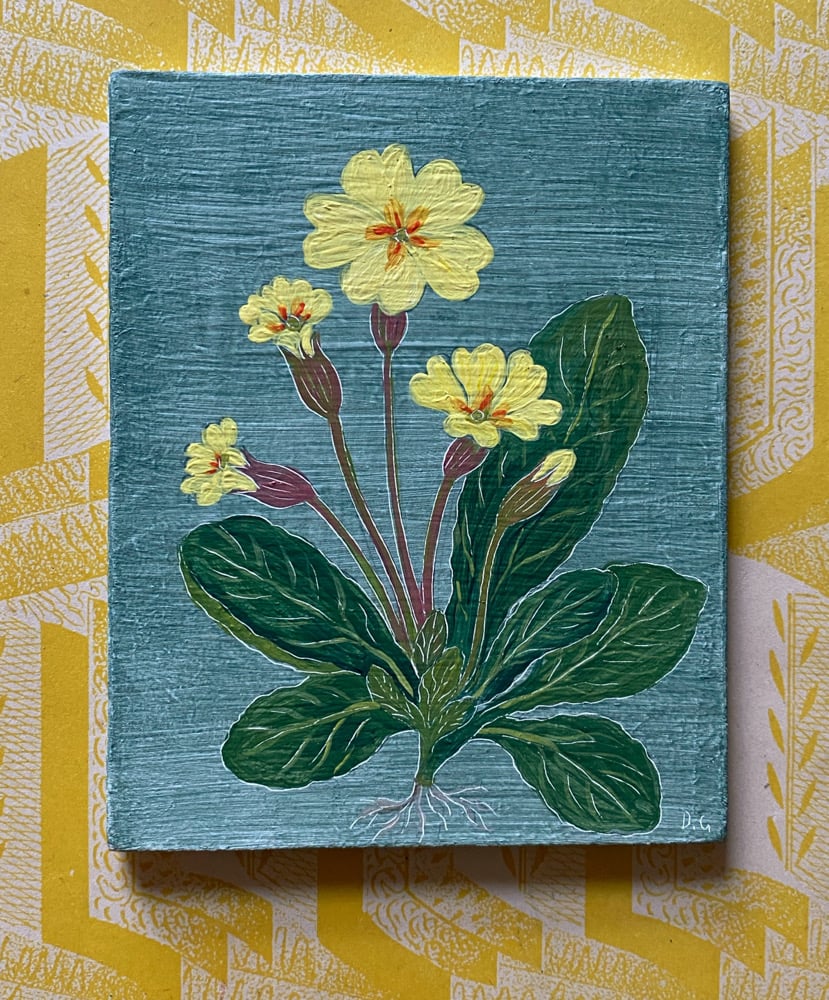 Image of Primrose study