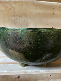 Image 5 of Generous Green Fern Bowl 