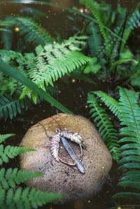 Image 3 of Fern Crystal Portal 