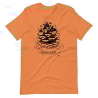 Image 1 of Vanha käpy väreissä