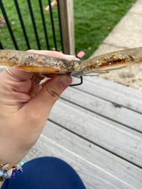 Image 4 of Butterfly Agate