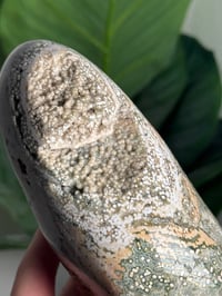 Image 9 of PEACHY GREEN VEINLESS OCEAN JASPER FREEFORM -MADAGASCAR-