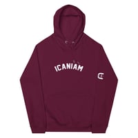 Image 1 of Icaniam “Champion Logo” Unisex eco raglan hoodie