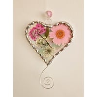 Image 5 of Real flower Heart - various colours