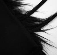 Image 6 of  Ostritch Set