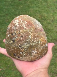 Image 5 of Agate Geode | Brazil #2947