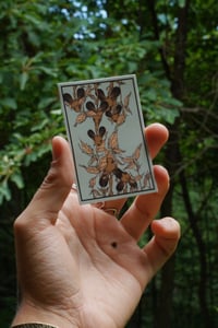 Image 3 of MUSH NEEDED- sticker
