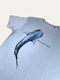 Image 4 of Tshirt SQUALO BALENA