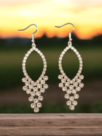 Earrings - silver, diamond