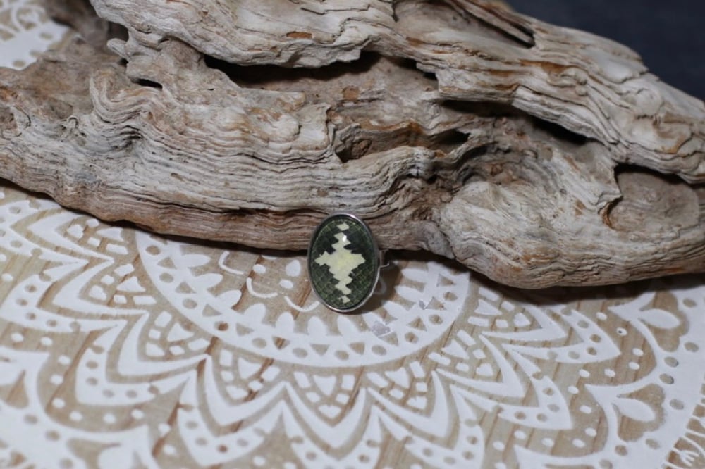 TOMSIMAGINATION — Emerald Tree Boa - Silver Collection