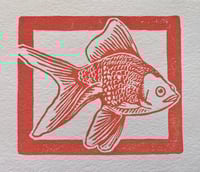 “Goldfish”
