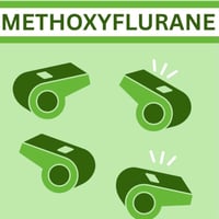 Emotional Support Socks - Green Whistle