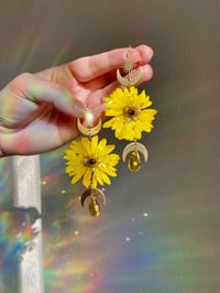 Image 5 of 🌼Yellow Daisy Shaniquas🌼