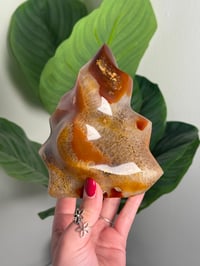 Image 2 of CARNELIAN X QUARTZ FLAME -MADAGASCAR- A