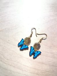 Image 2 of Blue Flight