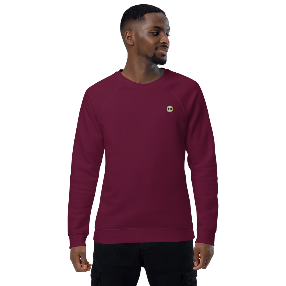 Image of CarreRaglan Eco
