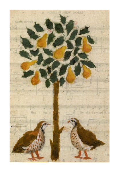 Image of Partridges Under A Pear Tree