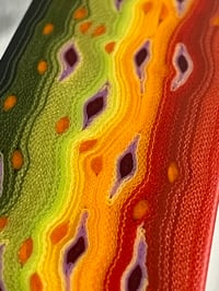 Image 5 of Brook Trout by Mikie