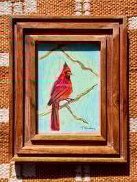 Cardinal with Blue- Original