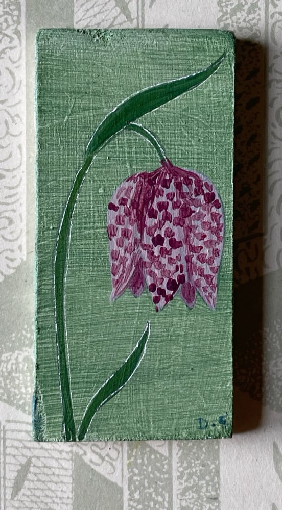Image of Tiny Fritillary (F)