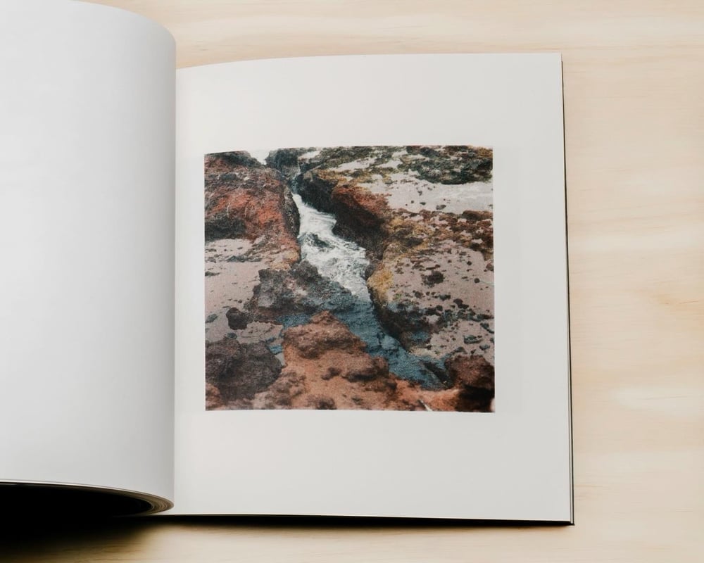 Image of Language Has No Weather: Field Notes from Unseen California