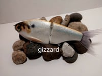 Image 1 of  Snack Shad 