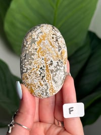 Image 6 of CHOOSE YOUR OWN ORBICULAR VEINLESS OCEAN JASPER PALM STONES -MADAGASCAR- 