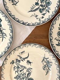 Image 5 of Assiettes Terre de fer - Pexonne fin XIXe