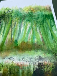 Image 2 of Wooddown Bog - Artwork 