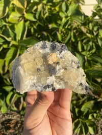 Image 1 of Yellow Fluorite on Galena