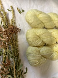 Alpaca, silk and cashmere 4ply MILD YELLOW